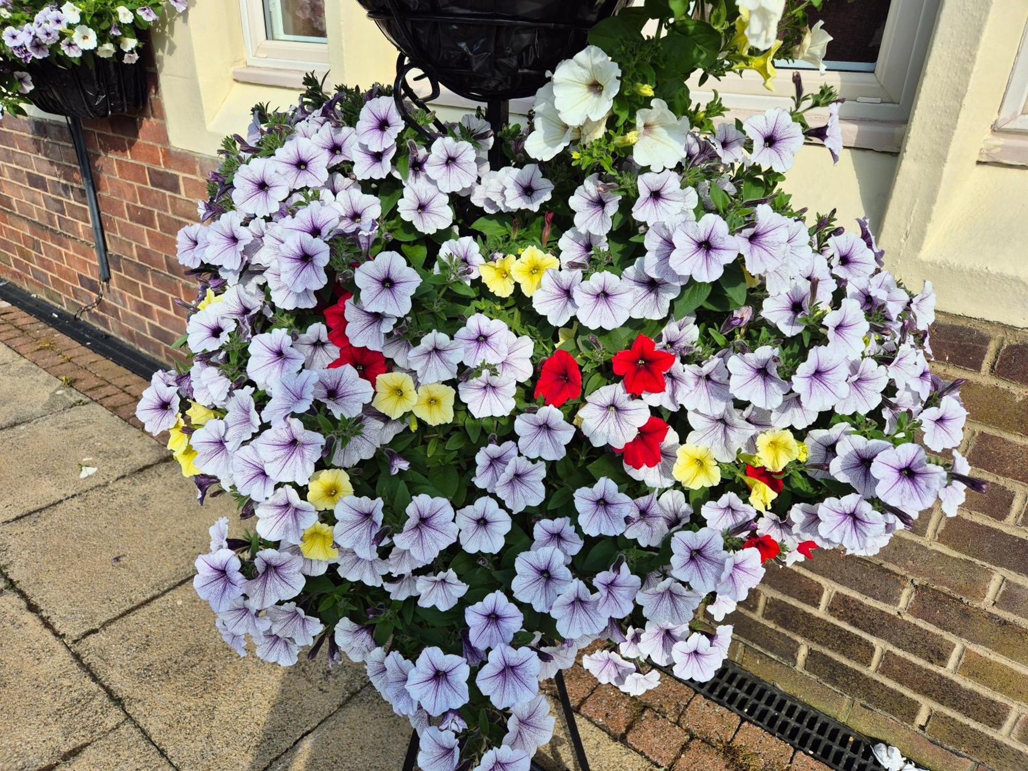 Dorset Arms Hotel Wallsend Εξωτερικό φωτογραφία