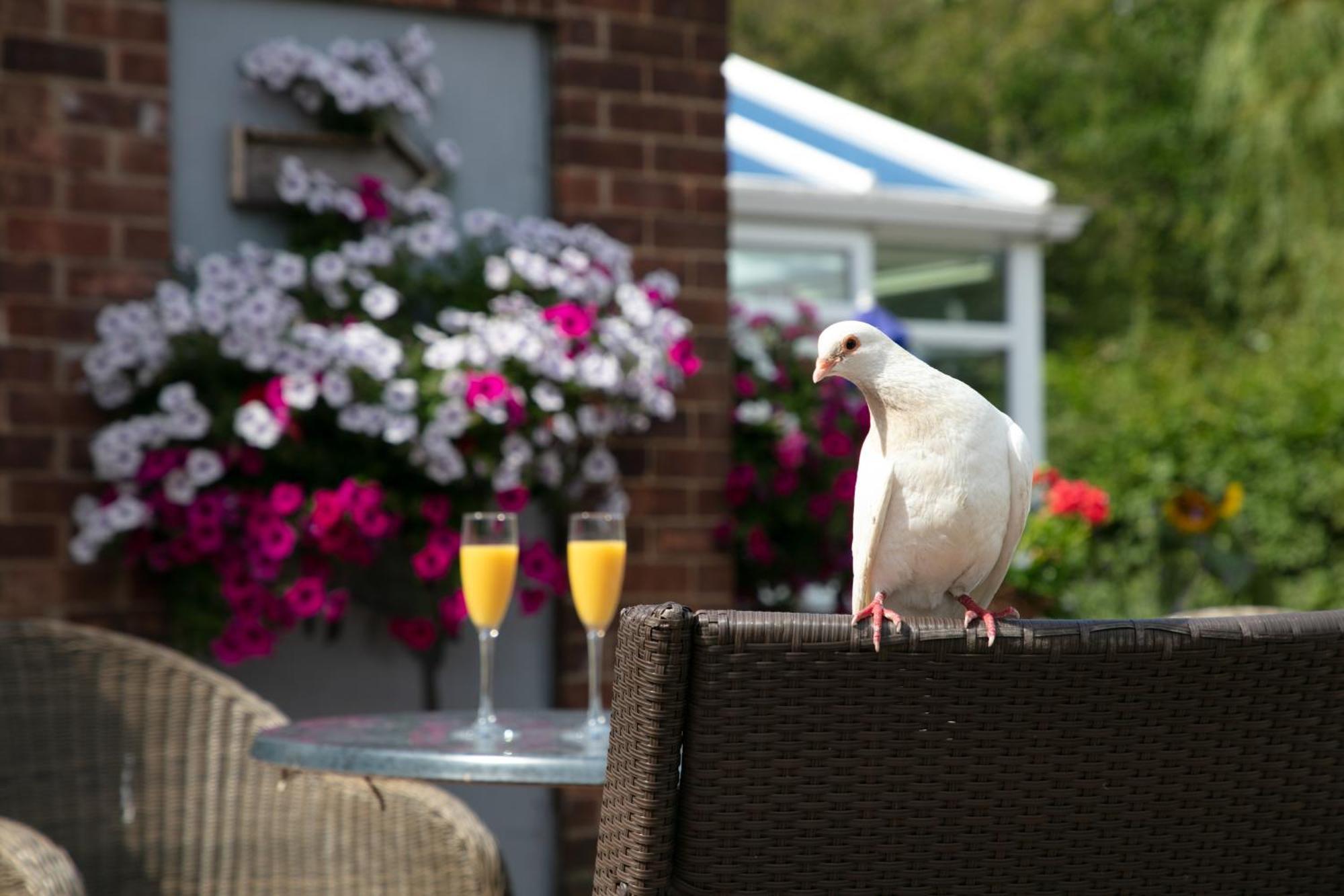 Dorset Arms Hotel Wallsend Εξωτερικό φωτογραφία